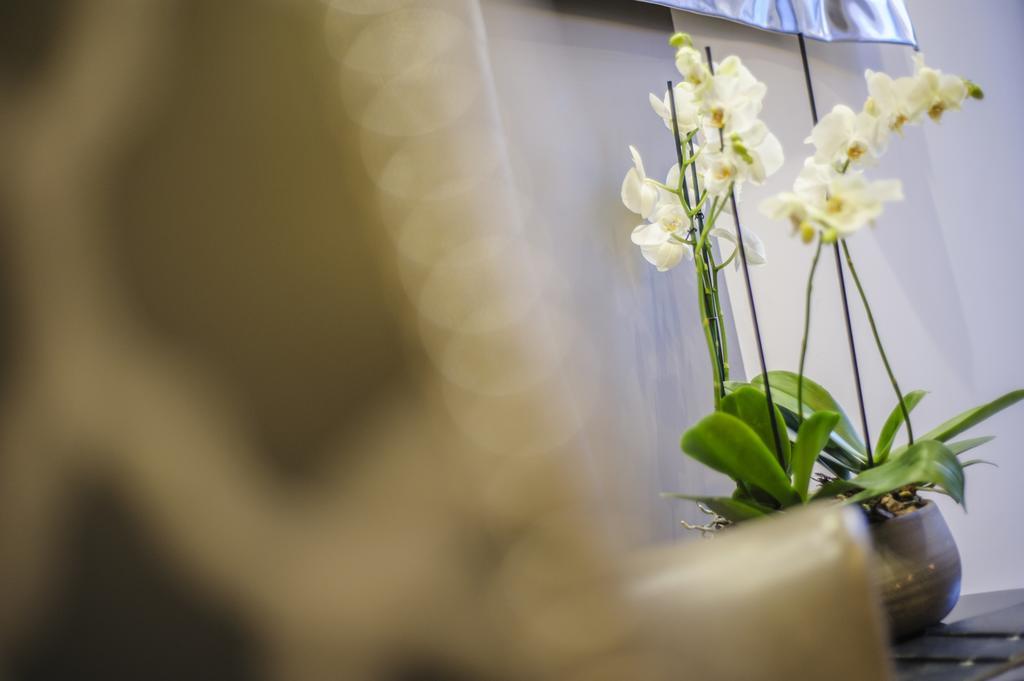 The Hide London 4* Hendon